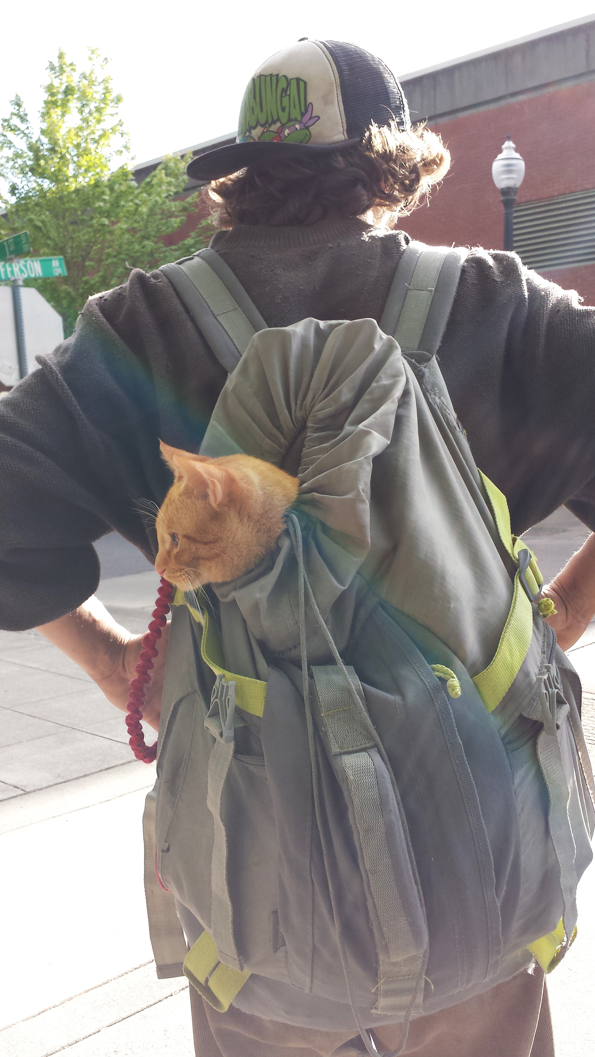 BackpackCat