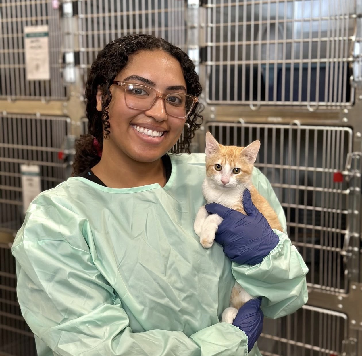 Cat Behavior Research Group – Maueyes